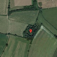 A Google Earth screenshot of a field with a pin